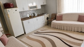 Un espace de vie compact comprenant un coin cuisine, un ensemble de canapés et un tapis à motifs.
