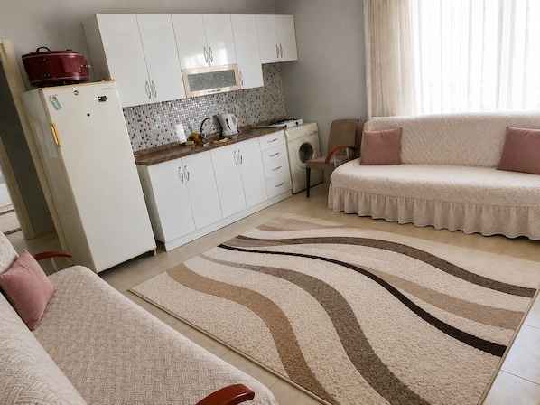 A compact living space with a kitchenette, a sofa set, and a patterned rug.