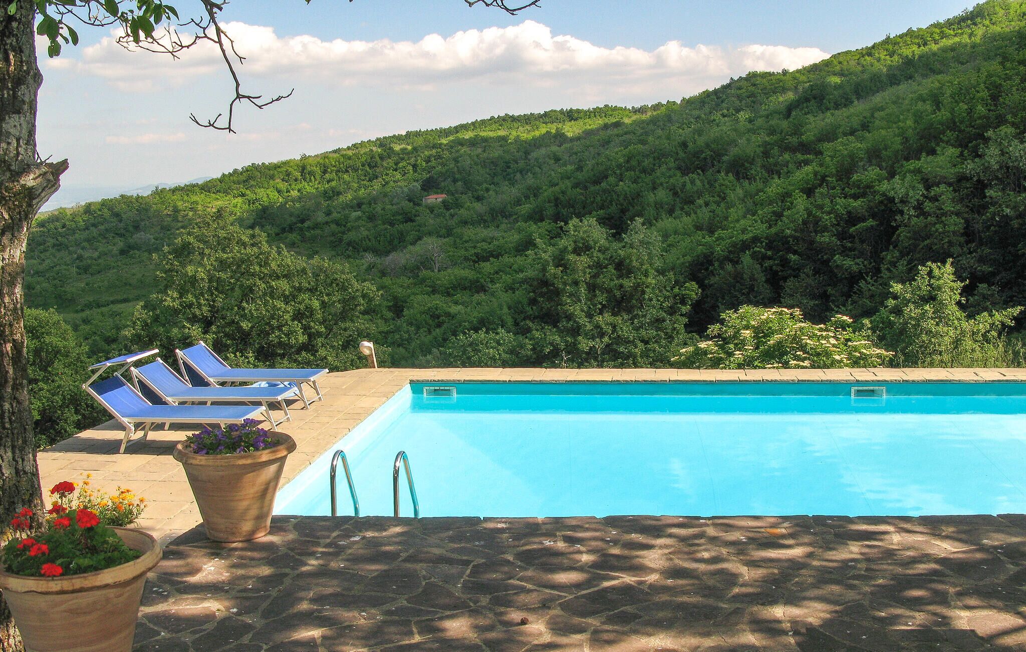 Una piscina con sillones de descanso y plantas en macetas, rodeada de un paisaje montañoso.