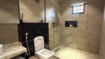A modern bathroom with a glass-enclosed shower, a toilet, a sink, and a mirror.
