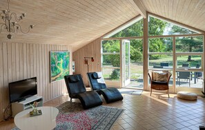 Smart-TV, Kamin