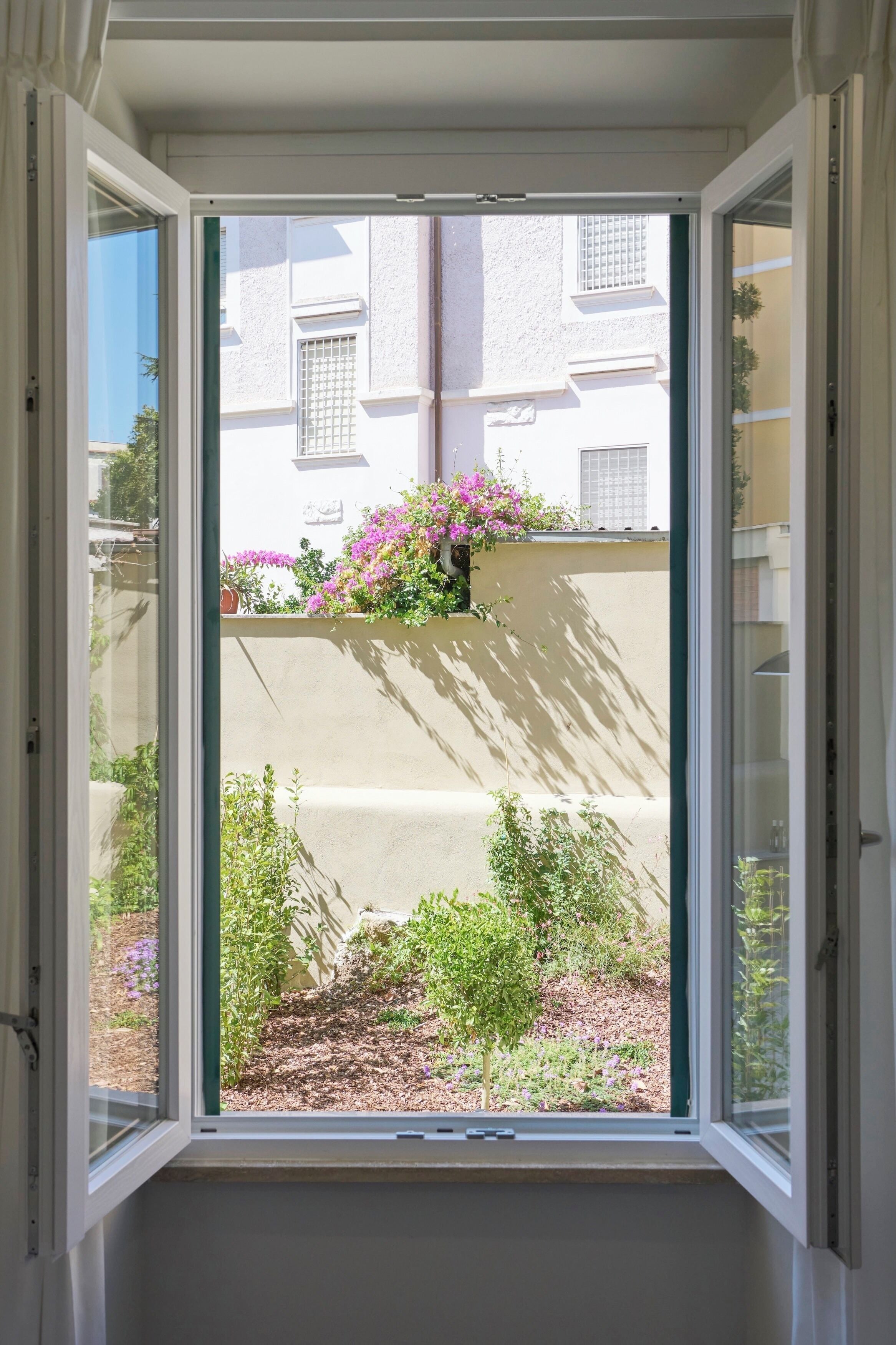 A window with a view of a building, a garden with various plants and flowers, and a clear sky.
