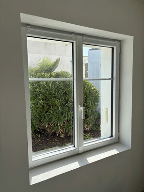 Una ventana con vistas a un jardín, con plantas verdes y una palmera.