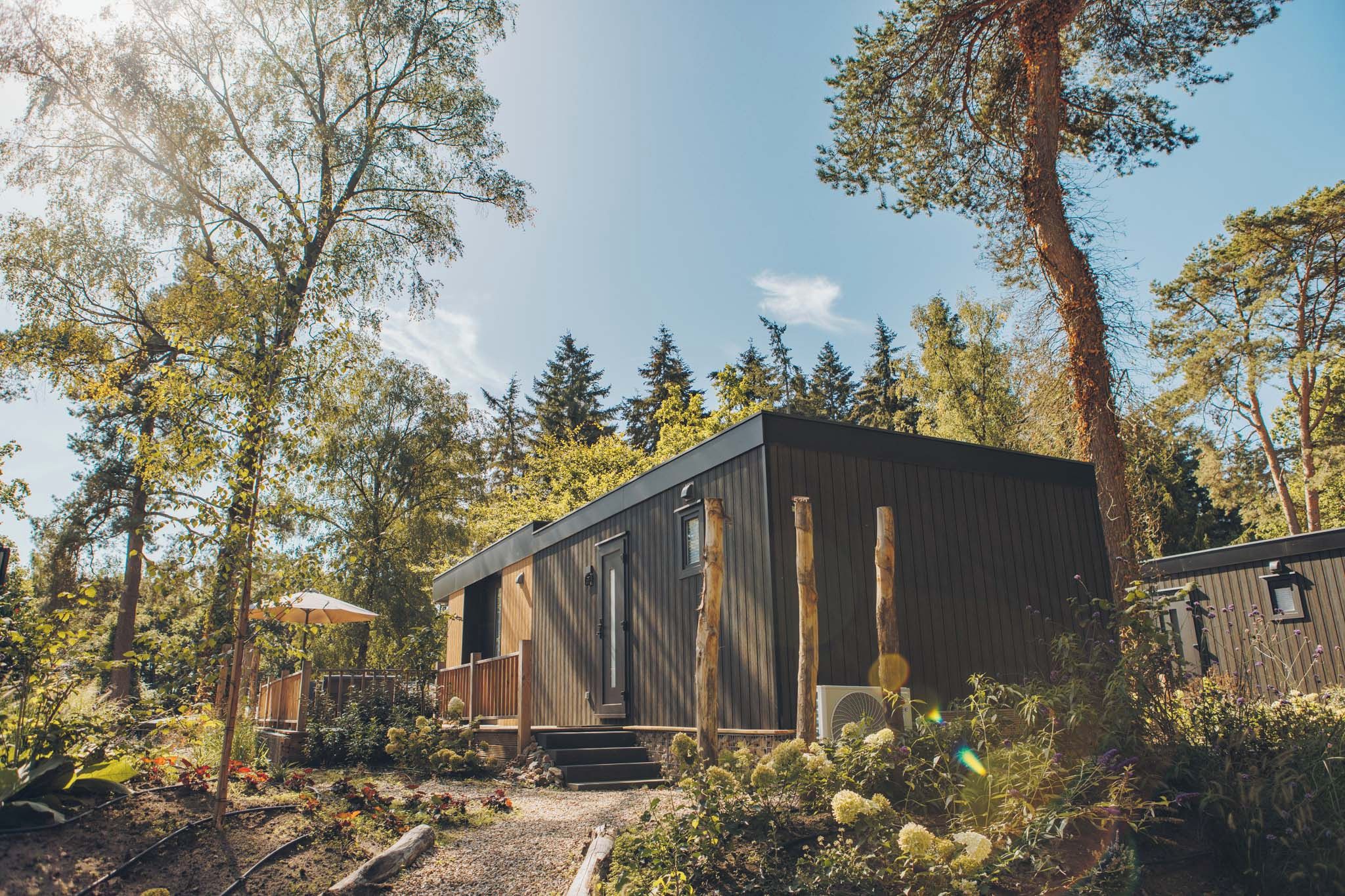 Una cabaña moderna de madera con un porche, rodeada de un bosque denso y un camino de grava.