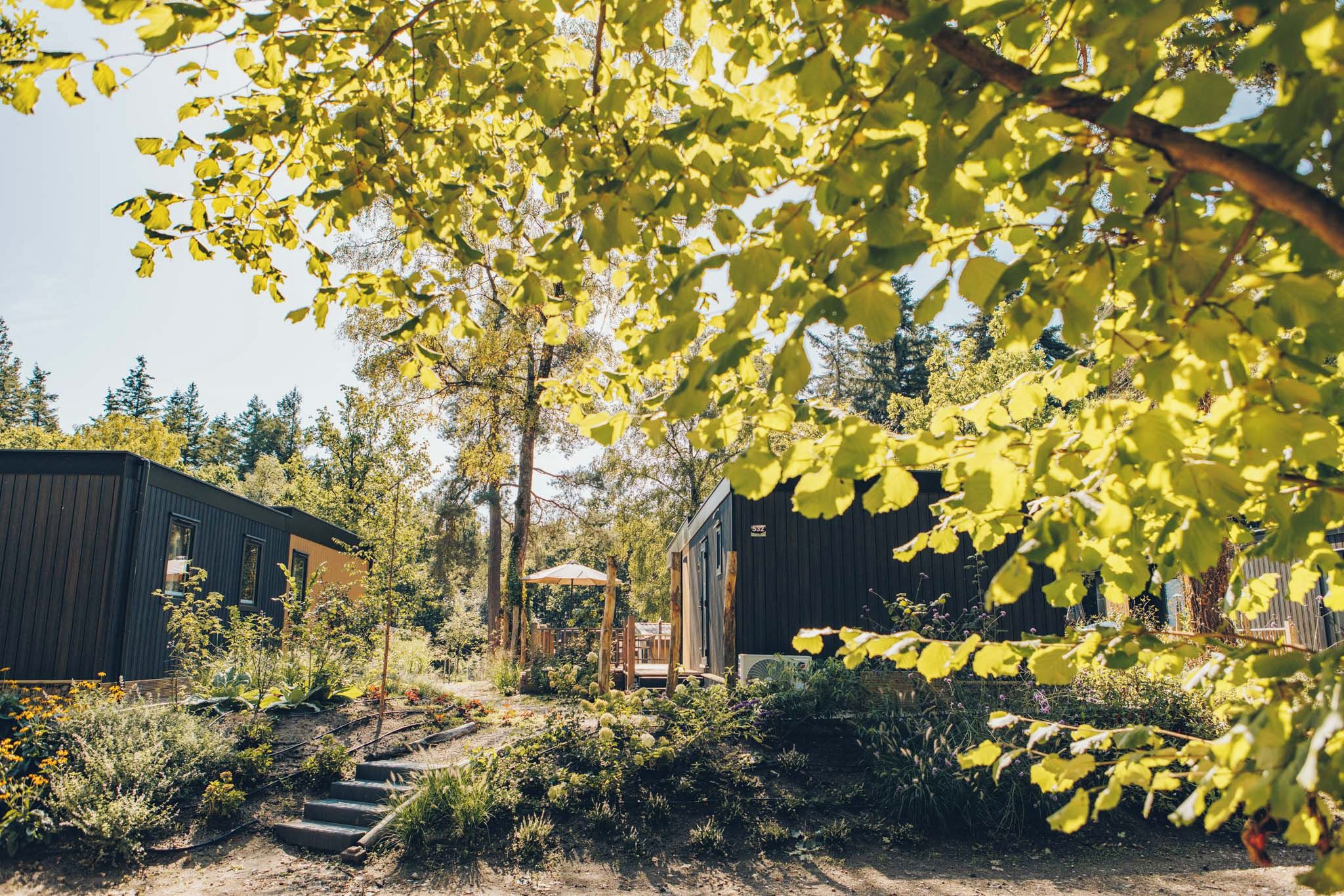 A garden with a wooden deck, a small pavilion, and two buildings with a rustic design.