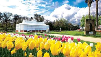 Um edifício com fachada de vidro, rodeado por um jardim com tulipas amarelas e rosas, e uma estátua ao fundo.
