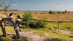 A wooden bench with a metal fence in a natural setting. - De Wiltzangh - Bosrand Wellness Cabin | 2p by Interhome (Ruinen)