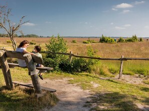A wooden bench with a metal fence in a natural setting. - De Wiltzangh - Bosrand Wellness Cabin | 2p by Interhome (Ruinen)