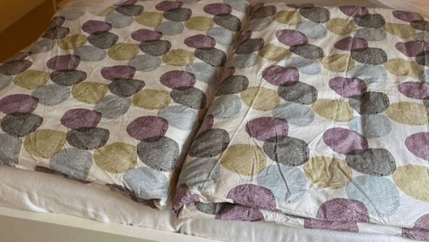 A bed with a canopy and a patterned bedspread. - Bungalowpark Herkingen - Casa Ina by Interhome (Herkingen)