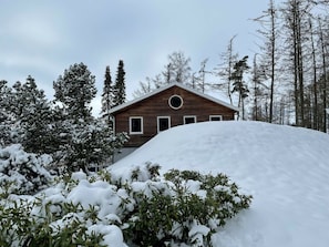 Exterior - Wilsumer Berge Resort - Wellness Familiehuis 10 by Interhome (Wilsum)