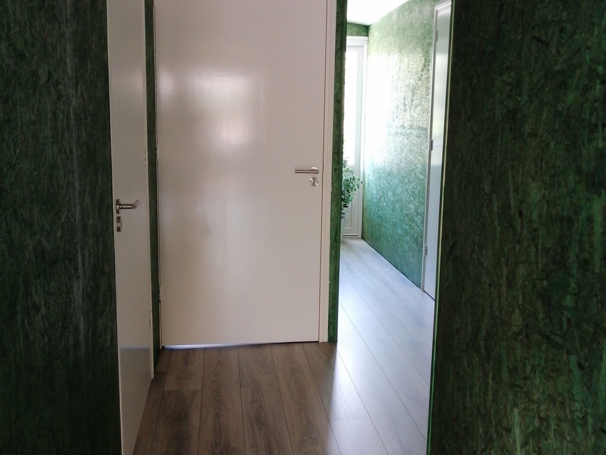 A hallway with a wooden floor, a white door, and green walls.