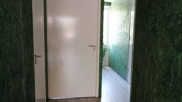 A hallway with a wooden floor, a white door, and green walls. - Wilsumer Berge Resort - Green Forest by Interhome (Wilsum)