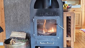 A wood-burning stove with a glass door, a brick wall, and wooden cabinets in the background.