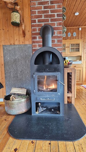 A wood-burning stove with a glass door, a brick wall, and wooden cabinets in the background.