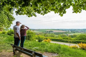 Un couple se tient debout sur un banc, d’où il jouit d’une vue sur un paysage rural avec une rivière et des champs.