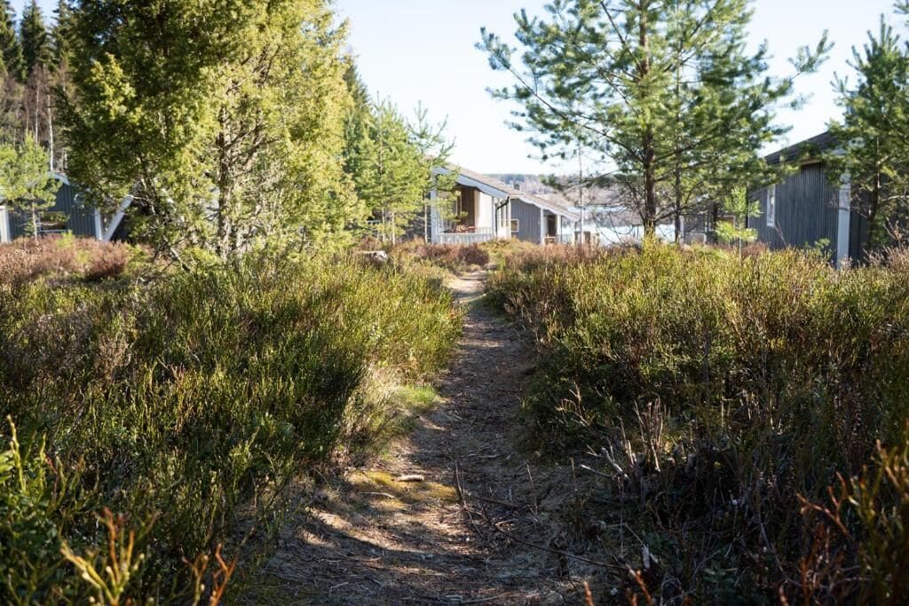 A pathway leading to a building surrounded by dense vegetation and trees.