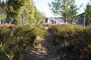 A pathway leading to a building surrounded by dense vegetation and trees.