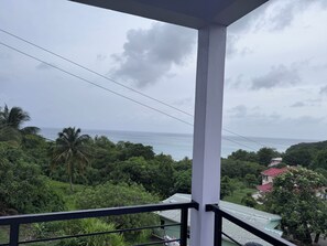 Ein Balkon mit Blick auf das Meer und die umliegende Vegetation.