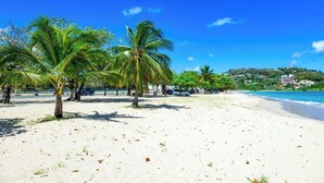 Ein Strand mit Palmen und blauem Himmel.
