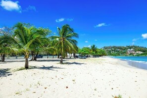 Ein Strand mit Palmen und blauem Himmel.