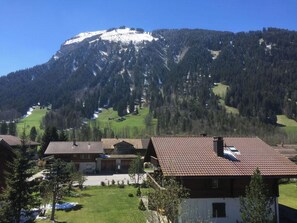 A mountain with a snow-capped peak, a forested valley, and a cluster of buildings with red-tiled roofs. - Chalet Flöschhorn Appartement/Fewo, Bad, WC, 3 Schlafräume by Interhome (Lenk)