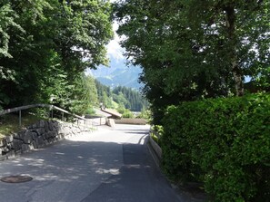A paved road flanked by stone walls and dense green foliage, leading to a building with a sloped roof. - Steirösli 1. & 2. Stock Appartement/Fewo, Dusche und Badewanne, 4 oder mehr Schl by Interhome (Lenk)