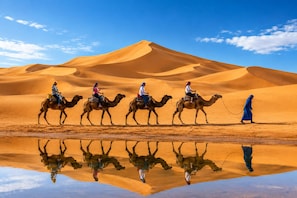 Miscellaneous - Sara Luxury Camp (Merzouga)