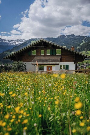A two-story wooden house with a white facade and green shutters, surrounded by a field of yellow flowers and mountains in the background. - Béatrice Appartement/Fewo, Dusche oder Bad, WC, 2 Schlafräume 4-Bett-Wohnung by Interhome (Lenk)