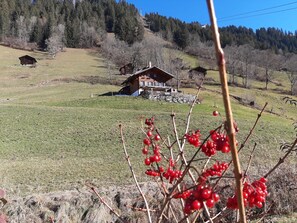 A rural landscape with a wooden cabin surrounded by a grassy field and trees. - Kari's Schüür Appartement/Fewo, Dusche, WC, 2 Schlafräume 5-Bettwohnung by Interhome (Lenk)