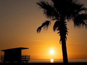A beach scene with a palm tree and a lifeguard tower. - T2 apartment sea view - 4 guests (Le Barcarès)