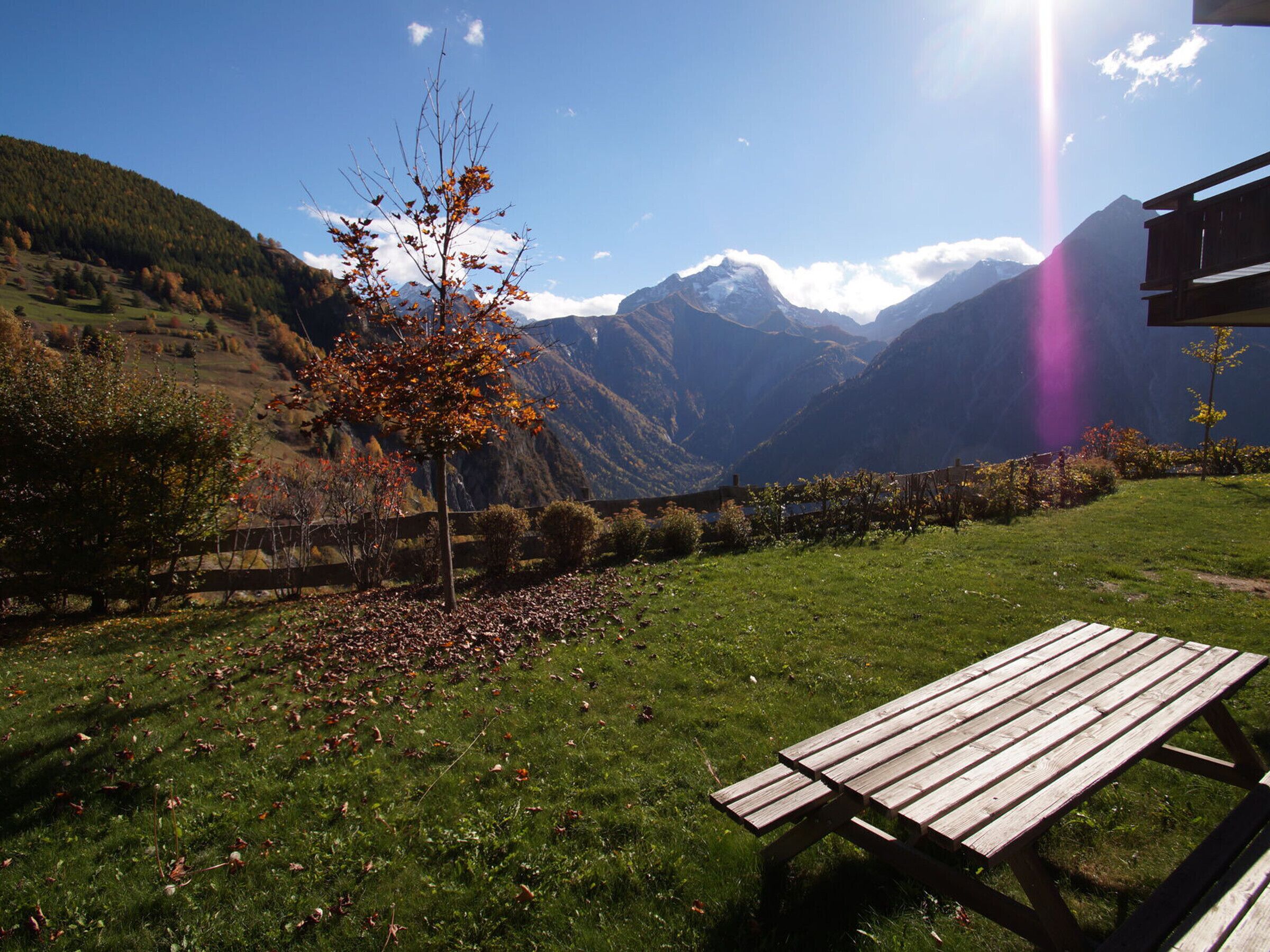 Une table de pique-nique dans un espace verdoyant, avec une montagne en arrière-plan.