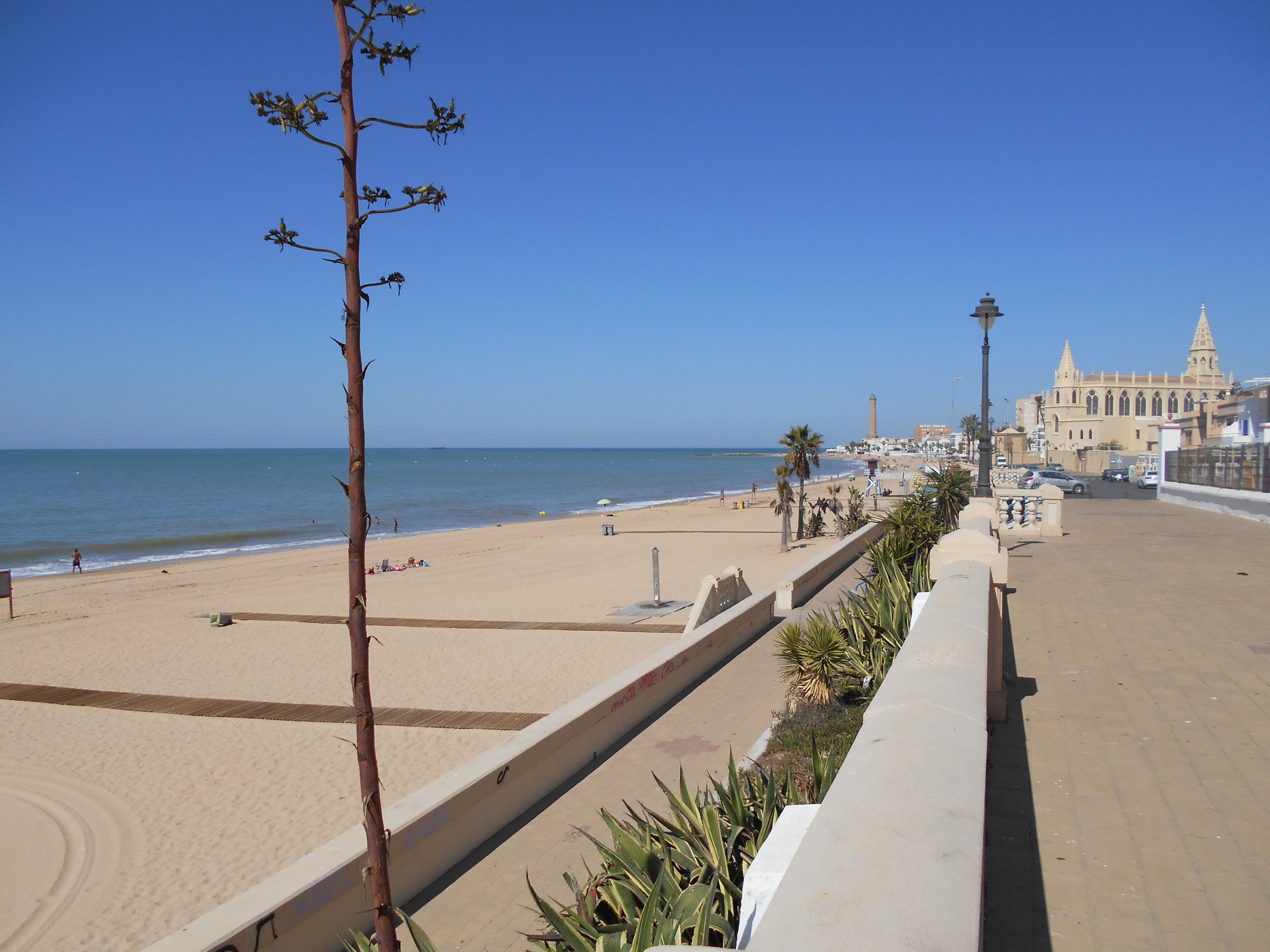 Une promenade en bord de mer avec une plage de sable, un palmier et un bâtiment historique doté d’une tour qui se profile à l’arrière-plan.