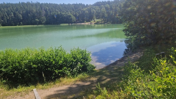 Un paisaje natural con un lago tranquilo rodeado de un bosque denso.