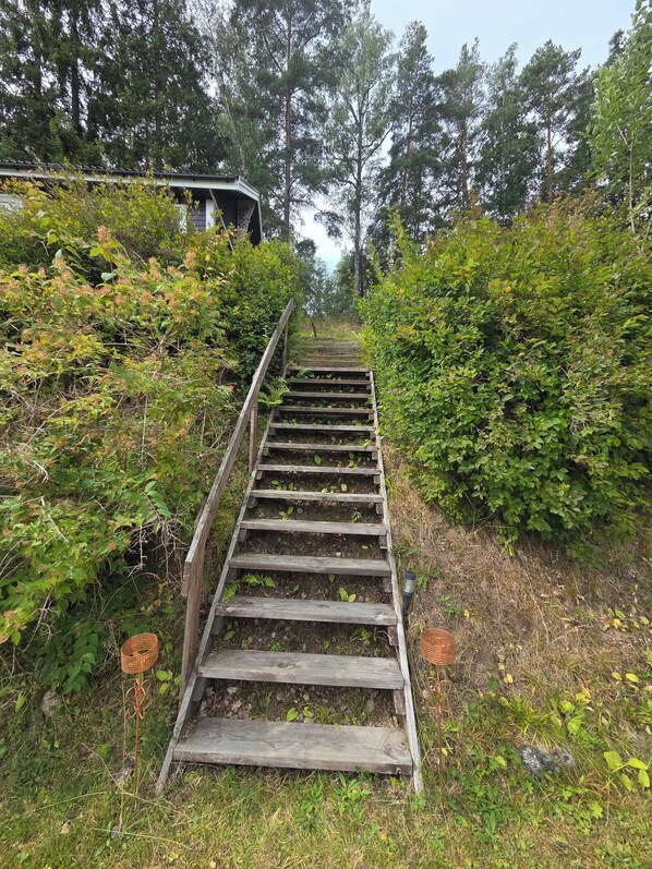 A wooden staircase surrounded by dense greenery, leading to a building in the background.