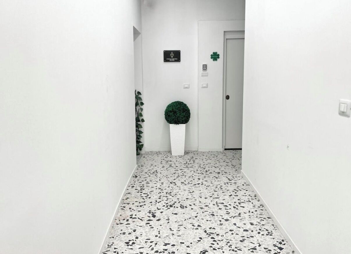 Interni