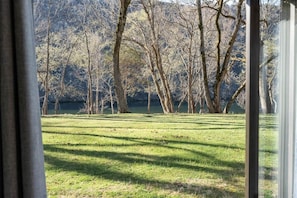 Une vue à travers une fenêtre sur une zone herbeuse, avec des arbres et une étendue d’eau en arrière-plan.