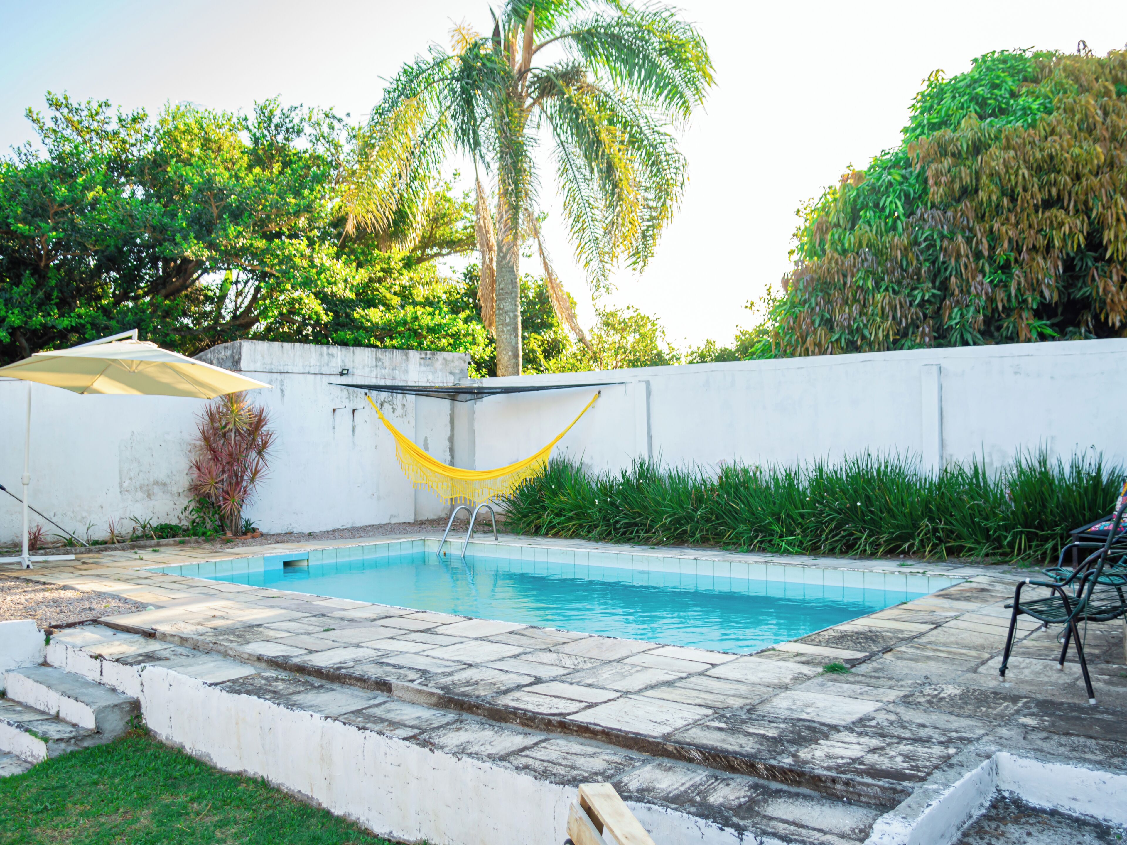 A swimming pool with a hammock, steps leading into the pool, and a white wall with greenery.