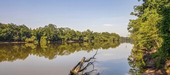 Waterfront Nature Escape on Altamaha River