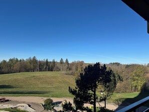 Blick über ein grünes Feld mit Bäumen und einem klaren, blauen Himmel.