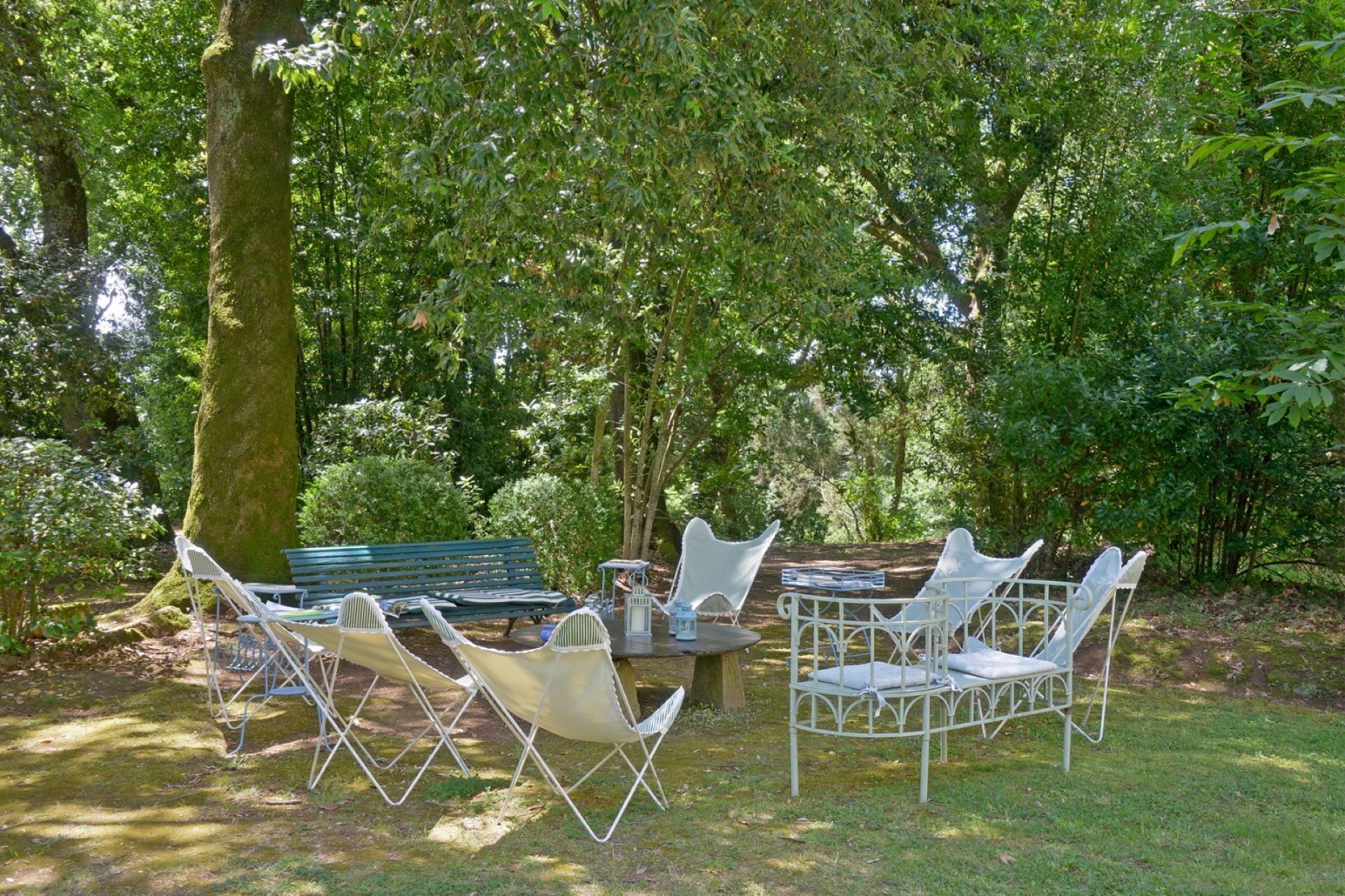 An outdoor seating area with a table and chairs, surrounded by trees.