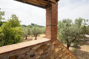 A stone wall with a brick column, overlooking an olive grove and a hill in the background. - Lovely apartment for 4 guests with WIFI, A/C, patio and pets allowed (Campiglia Marittima)