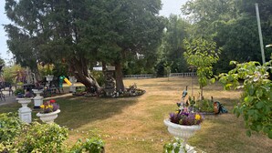 Un jardin agrémenté de plantes en pot, d’un grand arbre et de mobilier d’extérieur.
