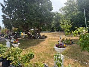 Ein Garten mit Kübelpflanzen, einem großen Baum und Gartenmöbeln.