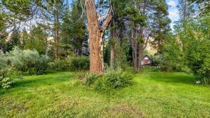 A grassy outdoor area with trees and a building in the background. - Tahoe River Chalet 2782b 4 Bedroom Home (South Lake Tahoe)