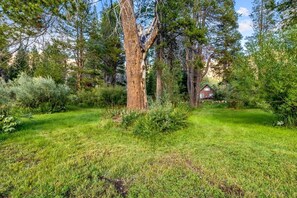 A grassy outdoor area with trees and a building in the background. - Tahoe River Chalet 2782b 4 Bedroom Home (South Lake Tahoe)