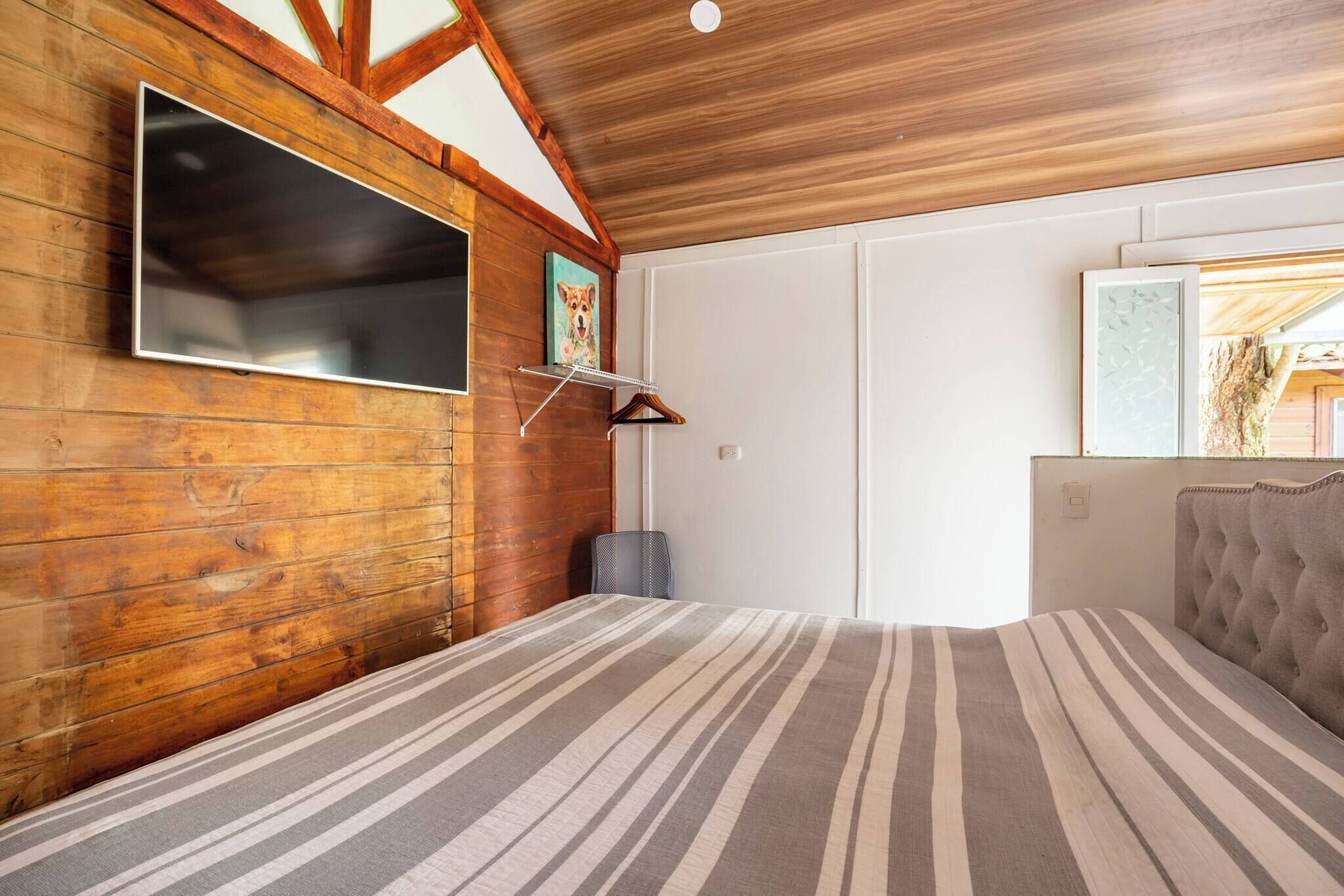 Studio, 1 Bedroom, Accessible, Terrace