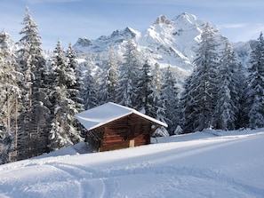 Eine Holzhütte mit schneebedecktem Dach, umgeben von schneebedeckten Bäumen und Bergen im Hintergrund.