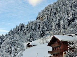 Ein mit Schnee bedeckter Berg mit Holzhütten.