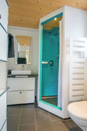 A modern bathroom with a shower enclosure, a toilet, and a vanity with a mirror. - Studio Riseten Appartement/Fewo, Dusche, WC, 1 Schlafraum 1-Zimmerwohnung by Interhome (Adelboden)