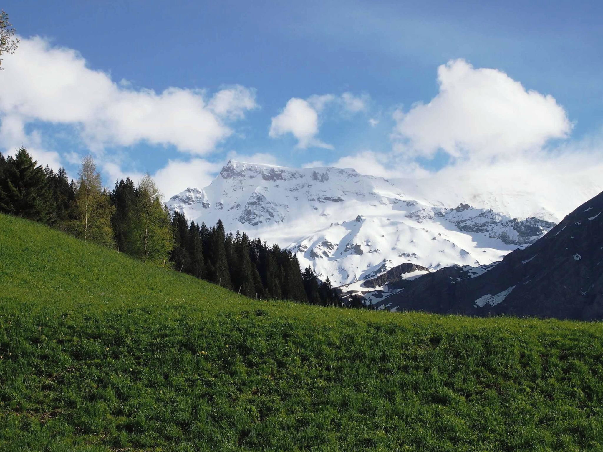 Paesaggio montuoso con cime innevate, un primo piano erboso e cielo sereno.